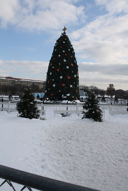 10.NationalChristmasTree.Ellipse.WDC.22December2009