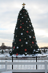 16.NationalChristmasTree.Ellipse.WDC.22December2009