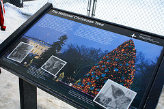 17.NationalChristmasTree.Ellipse.WDC.22December2009