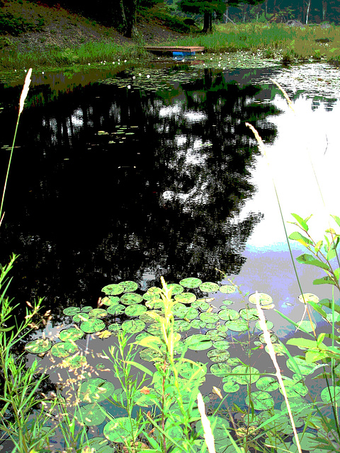 Half moon state park. Sur la 4 près de la 30 nord. Vermont, USA /  États-Unis -   26 juillet  2009 - Postérisation