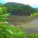 Half moon state park. Sur la 4 près de la 30 nord. Vermont, USA /  États-Unis -   26 juillet  2009 -   Postérisation