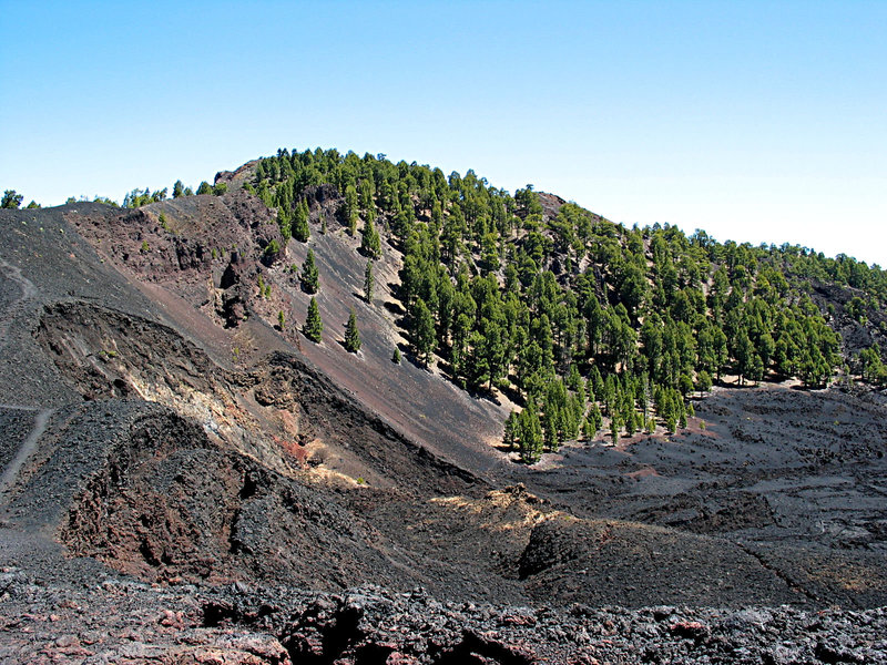 auf der Routa de los vulcanos (Cumbra Vieja) - La Palma