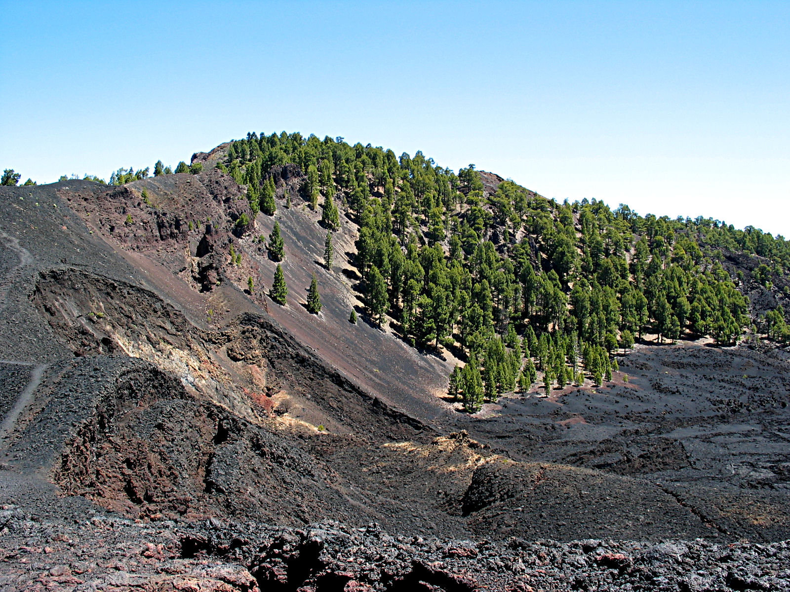 auf der Routa de los vulcanos (Cumbra Vieja) - La Palma