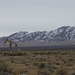 Railroad Valley, NV oil (3927)