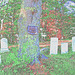 Dromore cemetery - Contours de couleurs