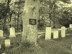 Dromore cemetery  - Photo ancienne / Vintage