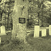 Dromore cemetery  - Photo ancienne / Vintage