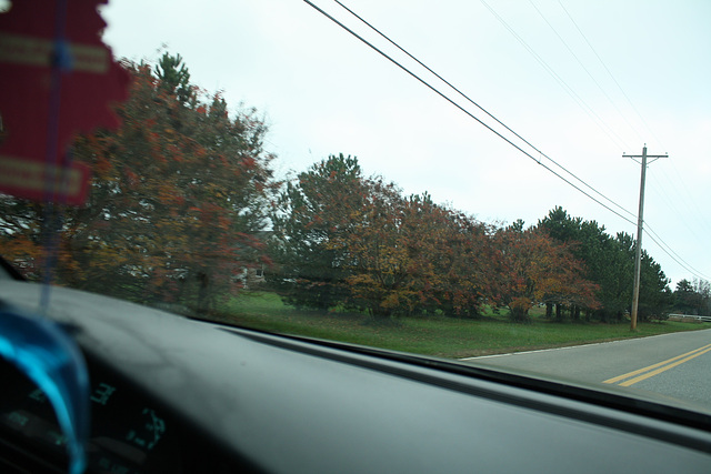 11.StJeromesNeckRoad.Dameron.MD.26November2009