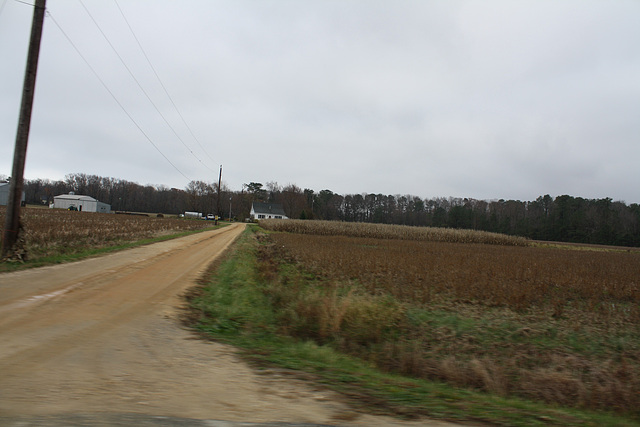 12.StJeromesNeckRoad.Dameron.MD.26November2009