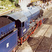 #600 Enters Bewdley with an Almost Empty Tender