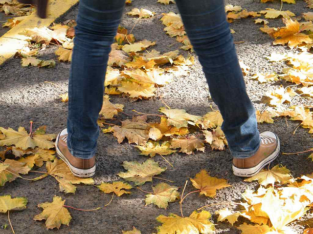 Fanny et les feuilles / Fanny in the leaves - Baskets et feuilles d'automne  / Running shoes and autumn leaves -  De Claudette avec permission.
