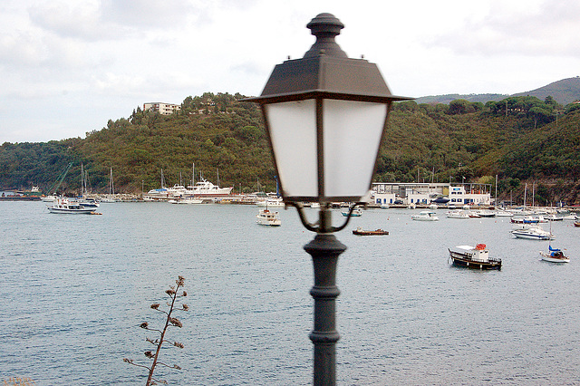 lanterno antaŭ buĥto - Laterne vor einer Bucht