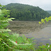 Half moon state park. Sur la 4 près de la 30 nord. Vermont, USA /  États-Unis -   26 juillet  2009 -  Photo originale