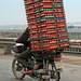 eggs_transporter