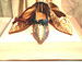 Bata shoe museum - Toronto, CANADA - 02-11-2005
