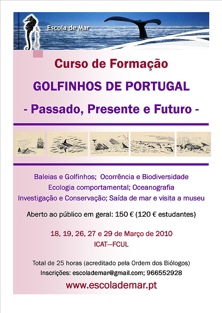 The School of Sea, Course on Dolphins of Portugal - Past, Present & Future
