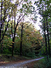 Fall Colors in Kunraticky Les, Prague, CZ, 2009