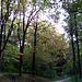Fall Colors in Kunraticky Les, Prague, CZ, 2009