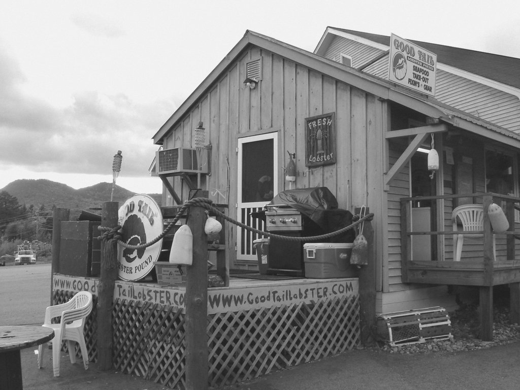 Good tail lobster /  Bartlett, New Hamphire (NH). USA -  10 octobre 2009- N & B