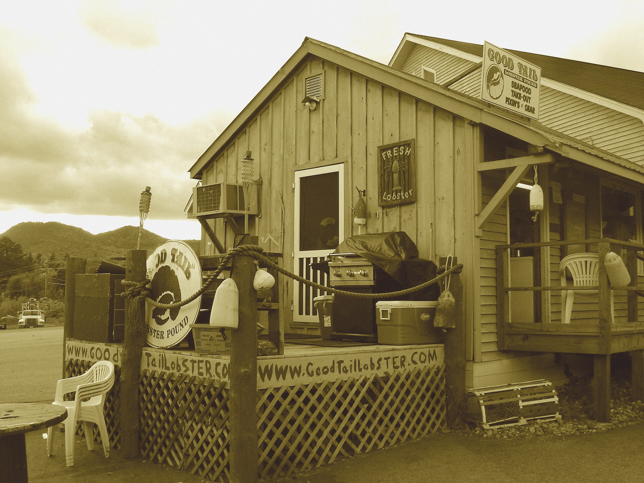 Good tail lobster /  Bartlett, New Hamphire (NH). USA -  10 octobre 2009- Sepia
