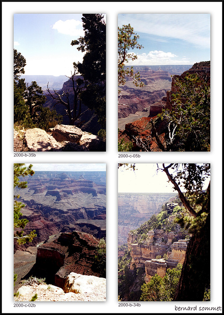 Après les cactus de Phoenix et Sedona on arrive au Grand Canyon