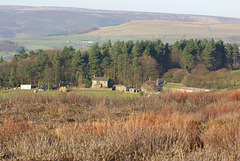 IMGP6423