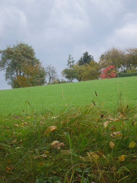 Herbsttag in Gunt