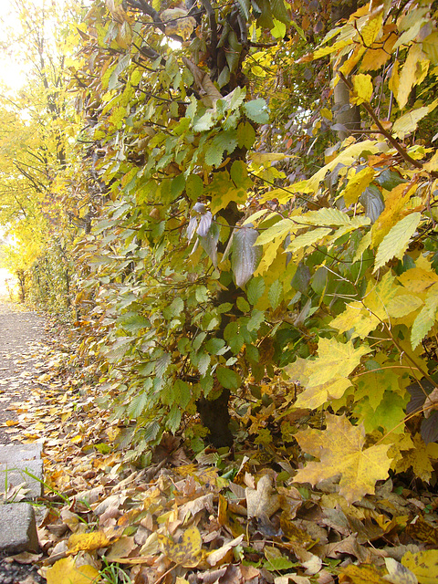 herbstlicher Handlauf