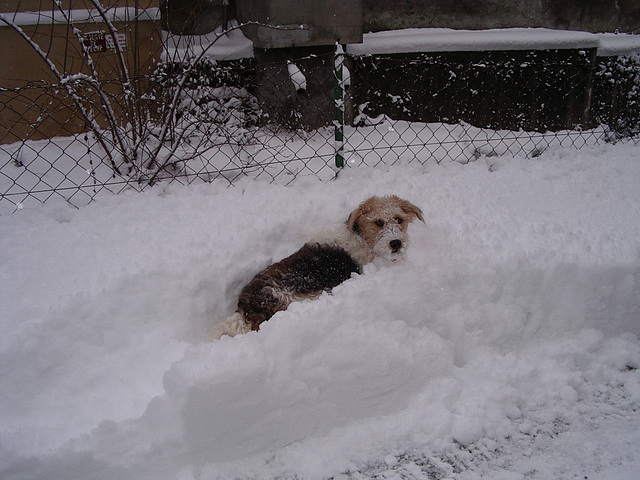 14 novembre 2008 devant la porte