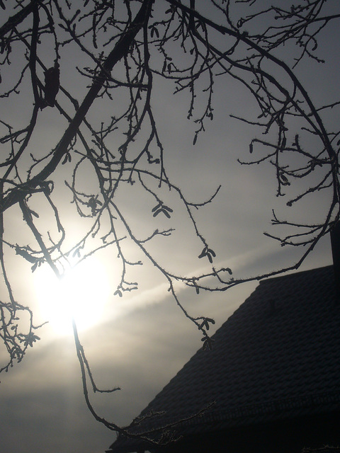 Wintersonne