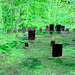 Dromore cemetery -  Négatif RVB