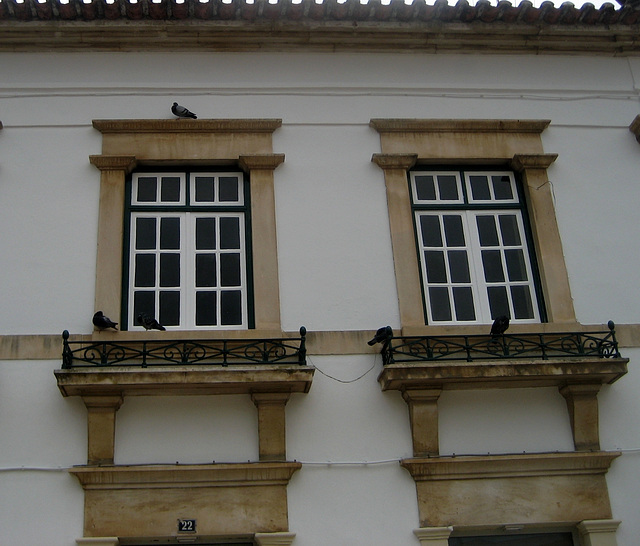 Alcobaça, the messengers (2)