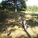 Dromore cemetery