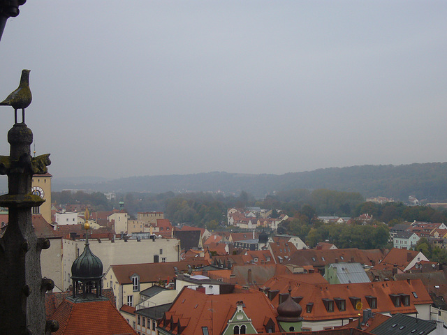 Dom St.Peter - Turmbesteigung