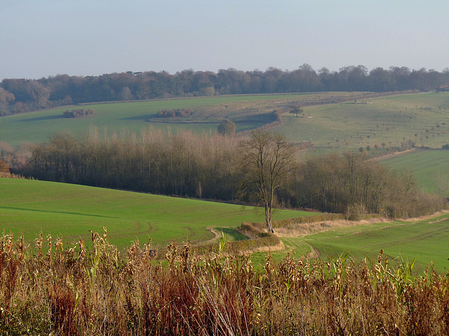 A November Afternoon  in the Vale of Aylesbury