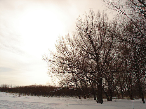 Randonnée en raquettes - Snowshoe run/  Hometown - Dans ma ville.  Hiver 2008