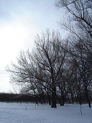 Randonnée en raquettes - Snowshoe run