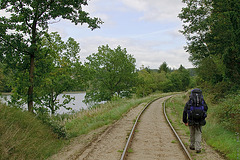Still Following the Trail