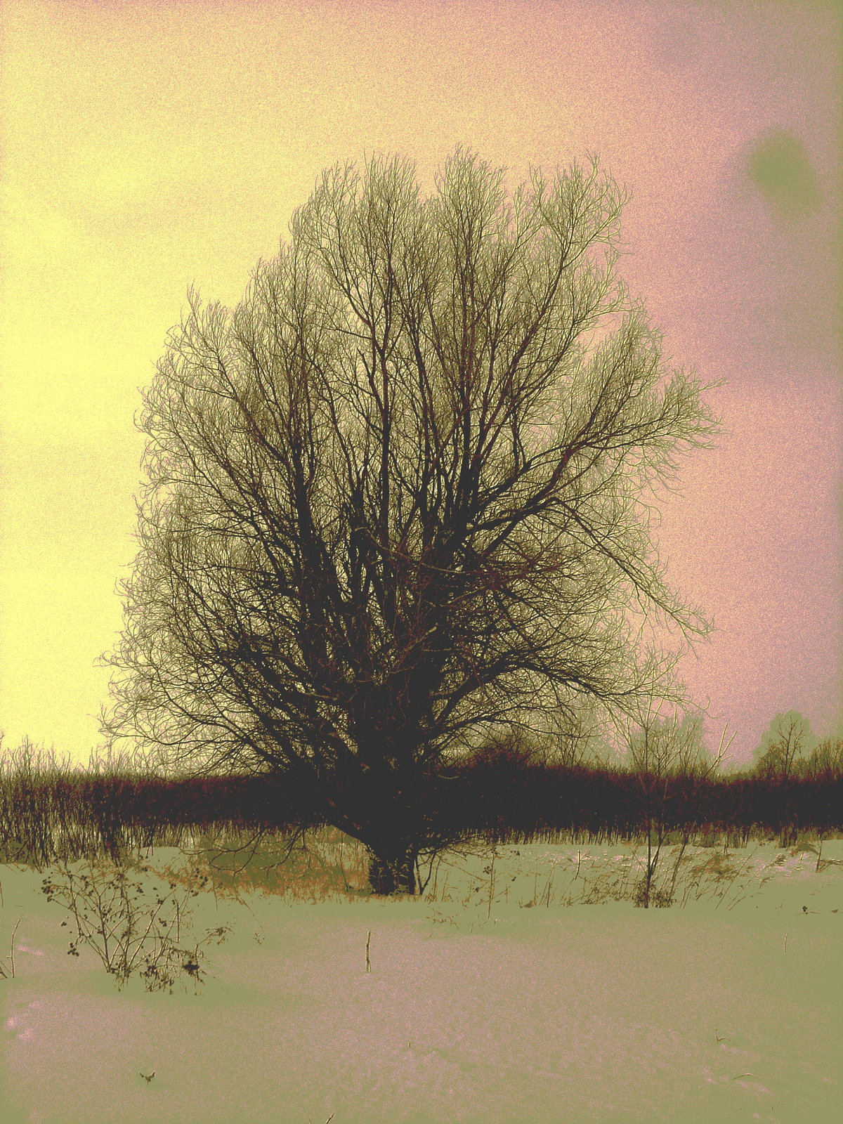 Randonnée en raquettes - Snowshoe run/  Hometown - Dans ma ville.  Hiver 2008 - Sepia postérisé