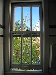 Window (4894)
