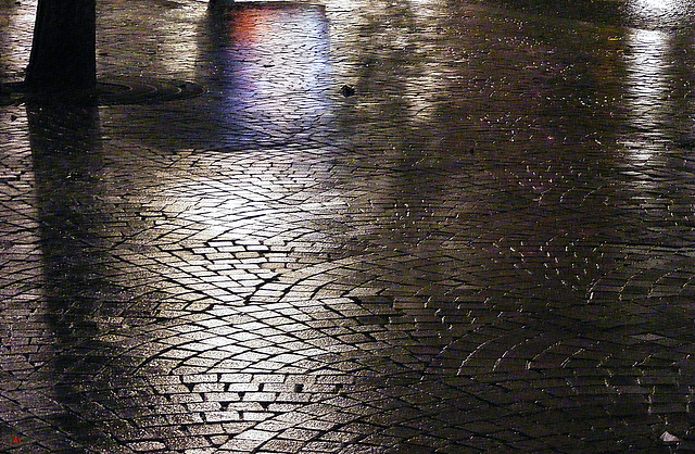 Wet evening