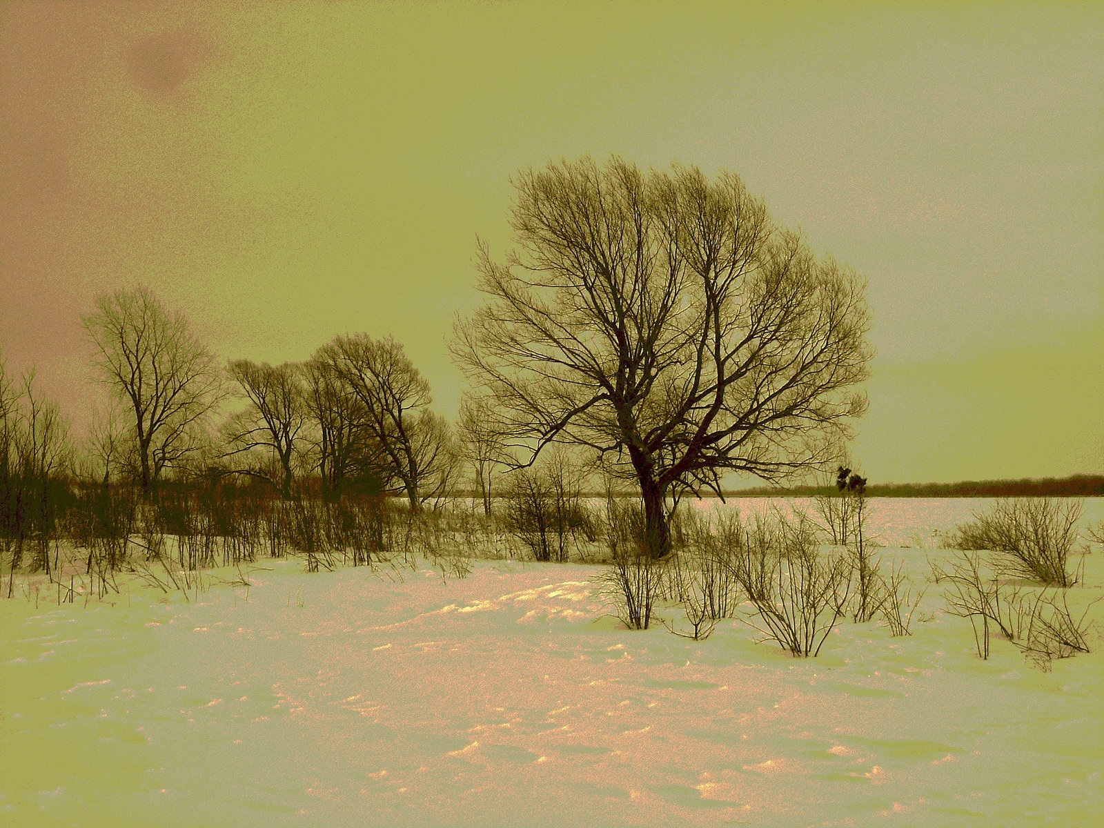 Randonnée en raquettes - Snowshoe run/  Hometown - Dans ma ville.  Hiver 2008-  Sepia postérisé