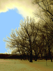 Randonnée en raquettes - Snowshoe run/  Hometown - Dans ma ville.  Hiver 2008 - Sepia et ciel bleu photofiltré