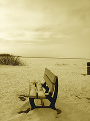 Randonnée en raquettes - Snowshoe run/  Hometown - Dans ma ville.  Hiver 2008  - Sepia