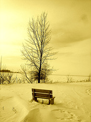 Randonnée en raquettes - Snowshoe run/  Hometown - Dans ma ville.  Hiver 2008 - Sepia