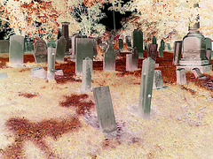 Whiting church cemetery. 30 nord entre 4 et 125. New Hampshire, USA. 26-07-2009 -  Négatif RVB