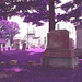 Whiting church cemetery. 30 nord entre 4 et 125. New Hampshire, USA. 26-07-2009  - RVB postérisé