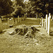 Whiting church cemetery. 30 nord entre 4 et 125. New Hampshire, USA. 26-07-2009 -  Sepia