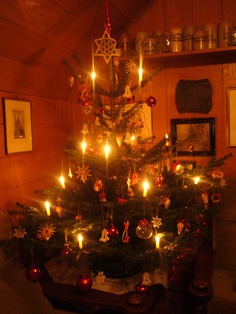 Christbaum 2009