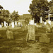 Whiting church cemetery. 30 nord entre 4 et 125. New Hampshire, USA. 26-07-2009-  Sepia